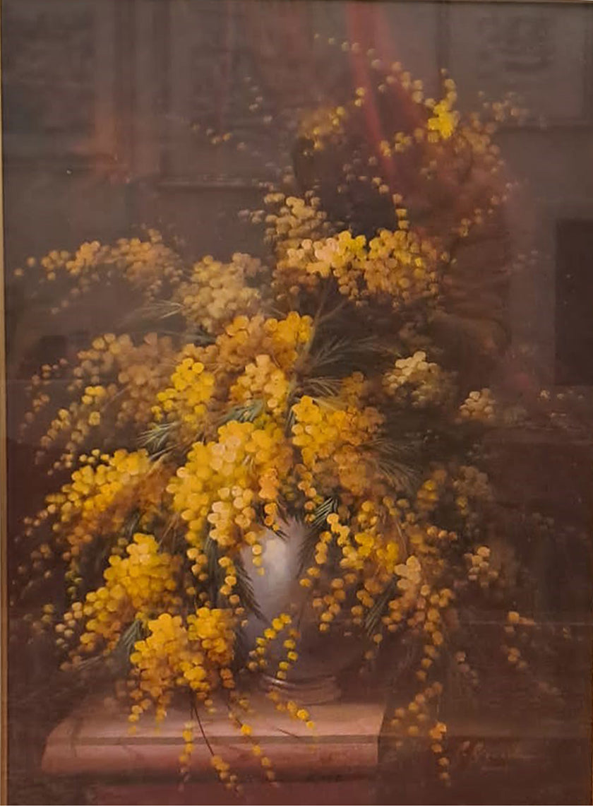 F. Giordano - Mimose