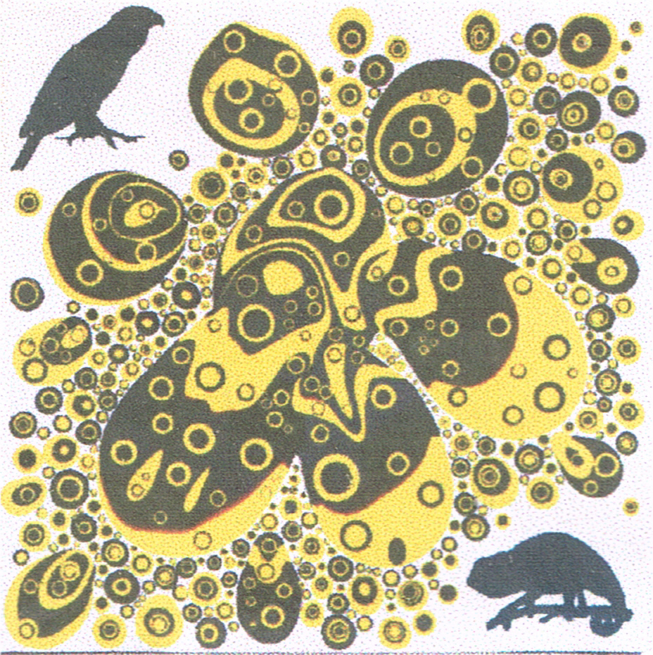 Veronica Montanino - Senza titolo