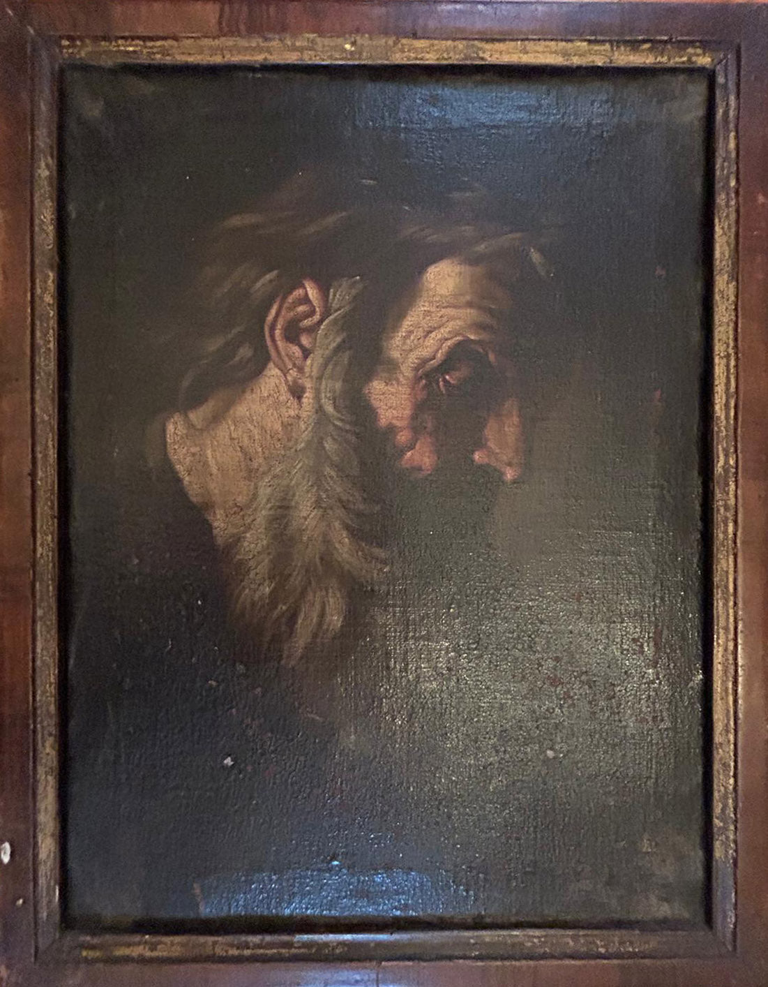 Autore Sconosciuto - Ritratto