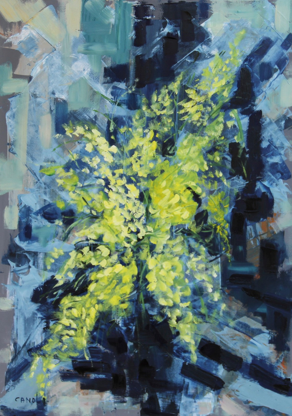 Patrizia Canola - Mimosa