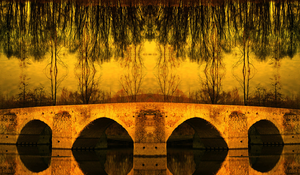 Mario Rotta - Into the Dreams: a Bridge for Monna Lisa