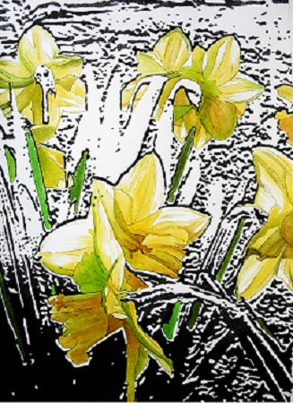 Veronica Francia - Narcisi