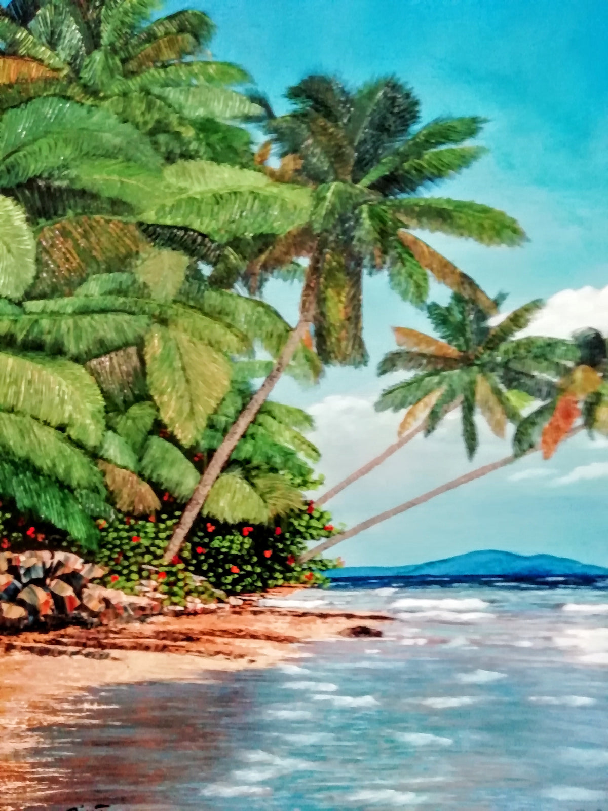 Álvaro Alberto Riaño Lozano - Naturaleza