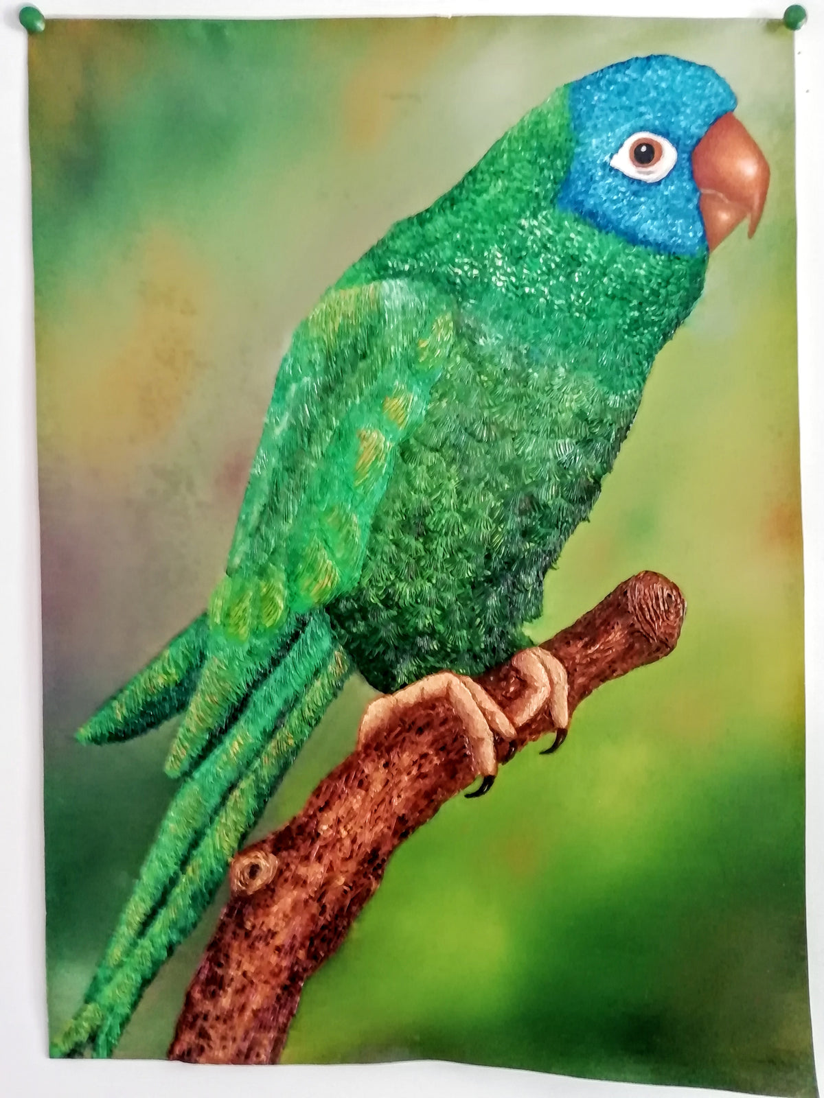 Álvaro Alberto Riaño Lozano - Naturaleza