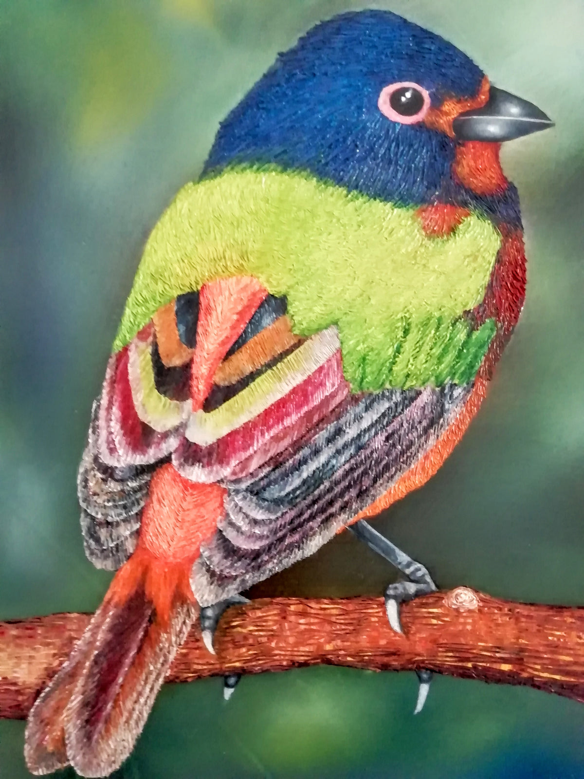 Álvaro Alberto Riaño Lozano - Naturaleza