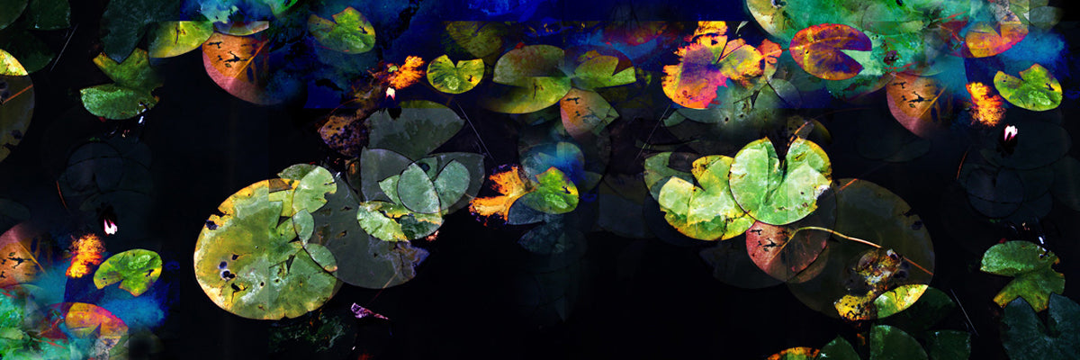 Mario Rotta - Ninfee (a Monet)