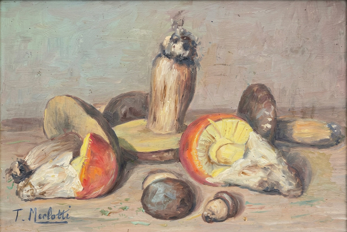 Natura morta con funghi, di Torquato Merlotti, Olio su tavola, 40 x 30 cm
