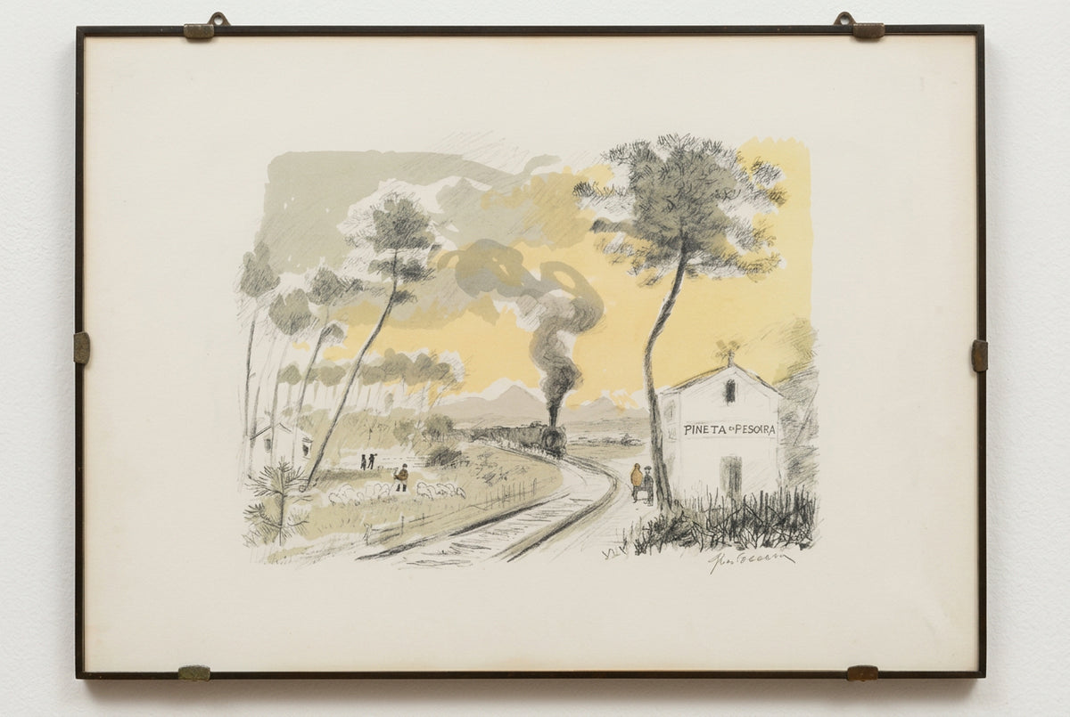 Pineta di Pescara - Cascella