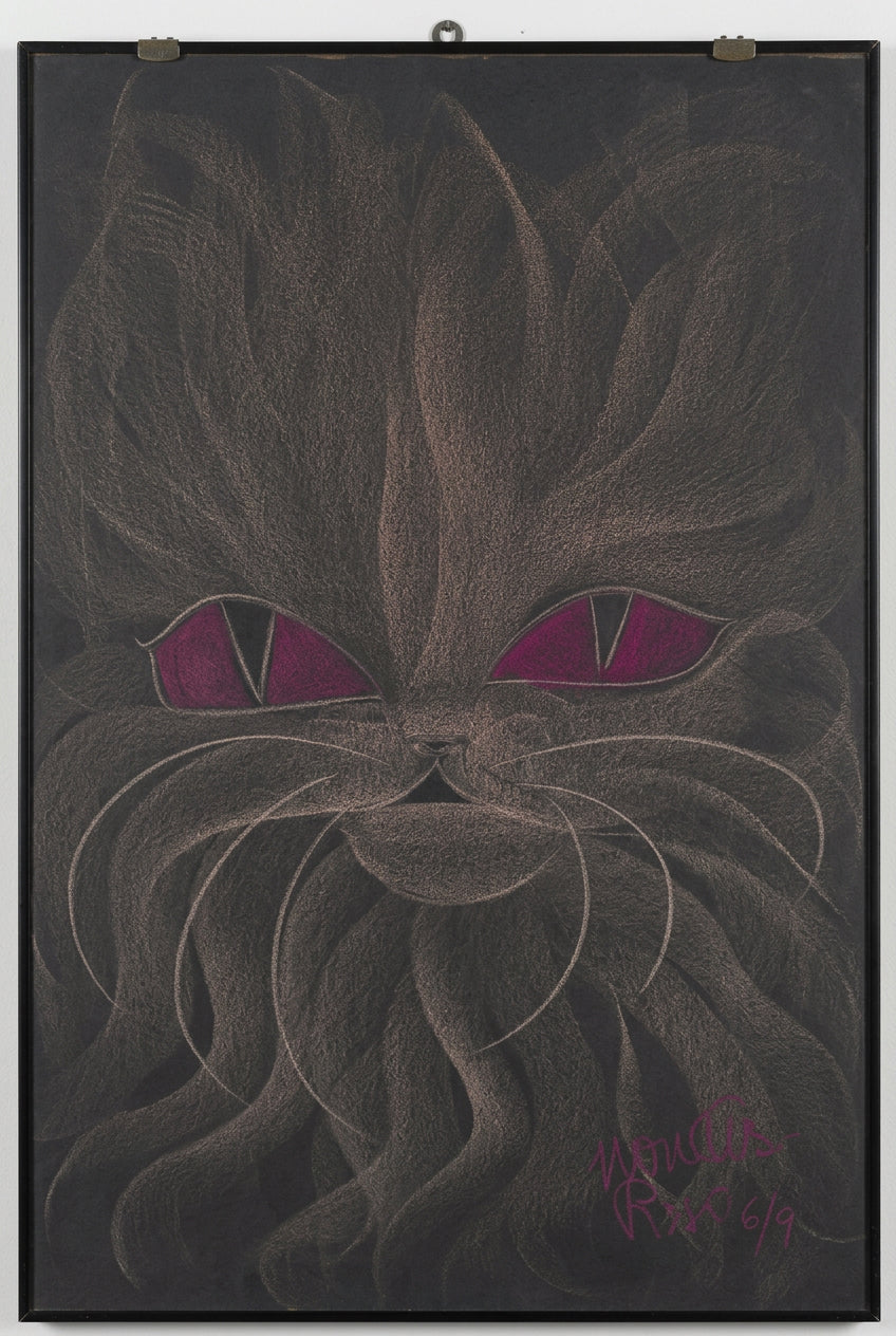 Gatto - Novella parigini