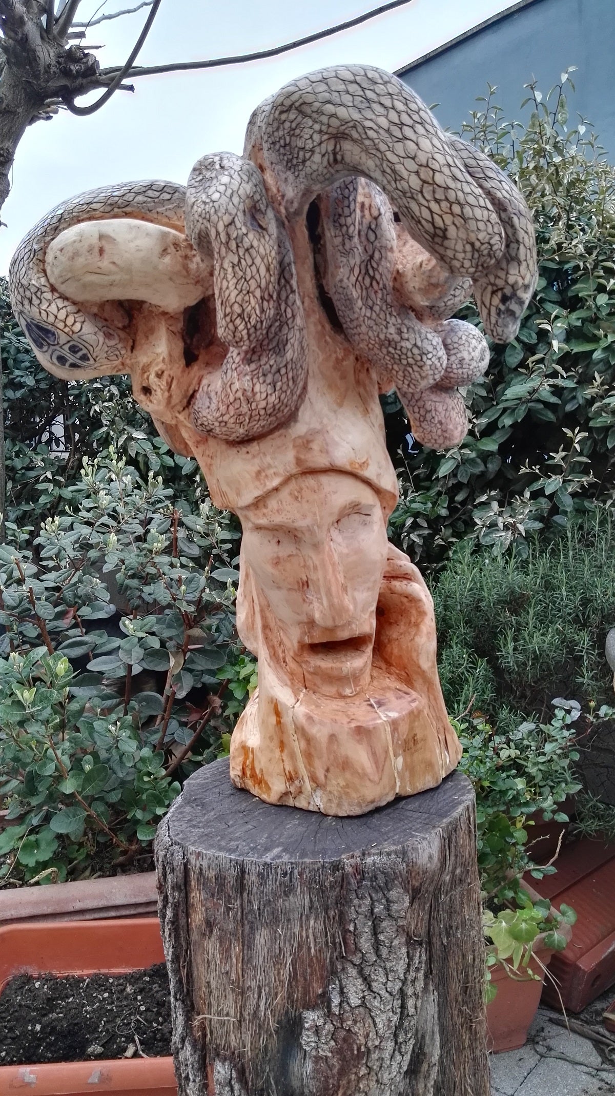 Marco Perini - Mitologia su radice di melo