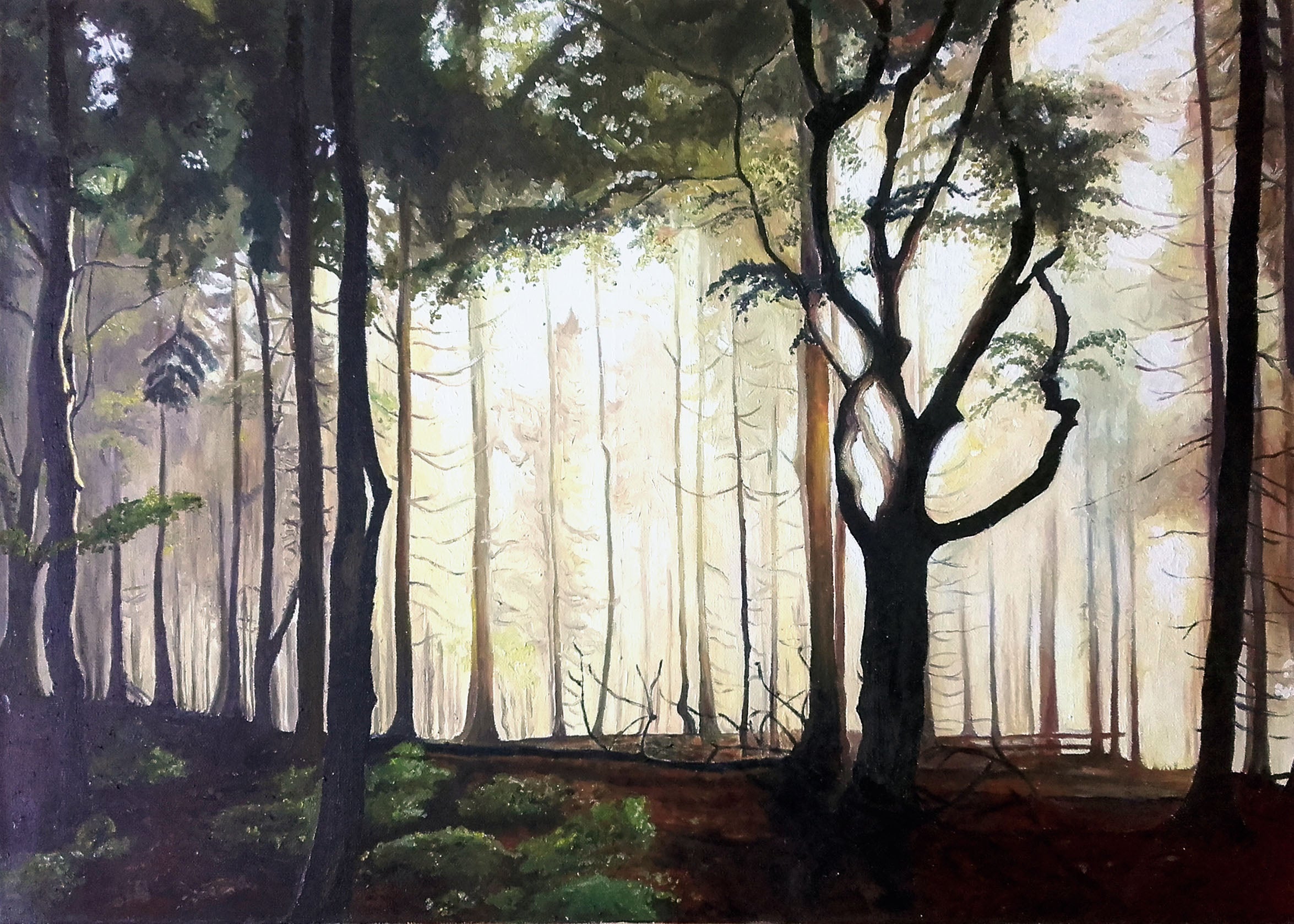 Patrizia Dell'Andrino - Shadows and tall tree