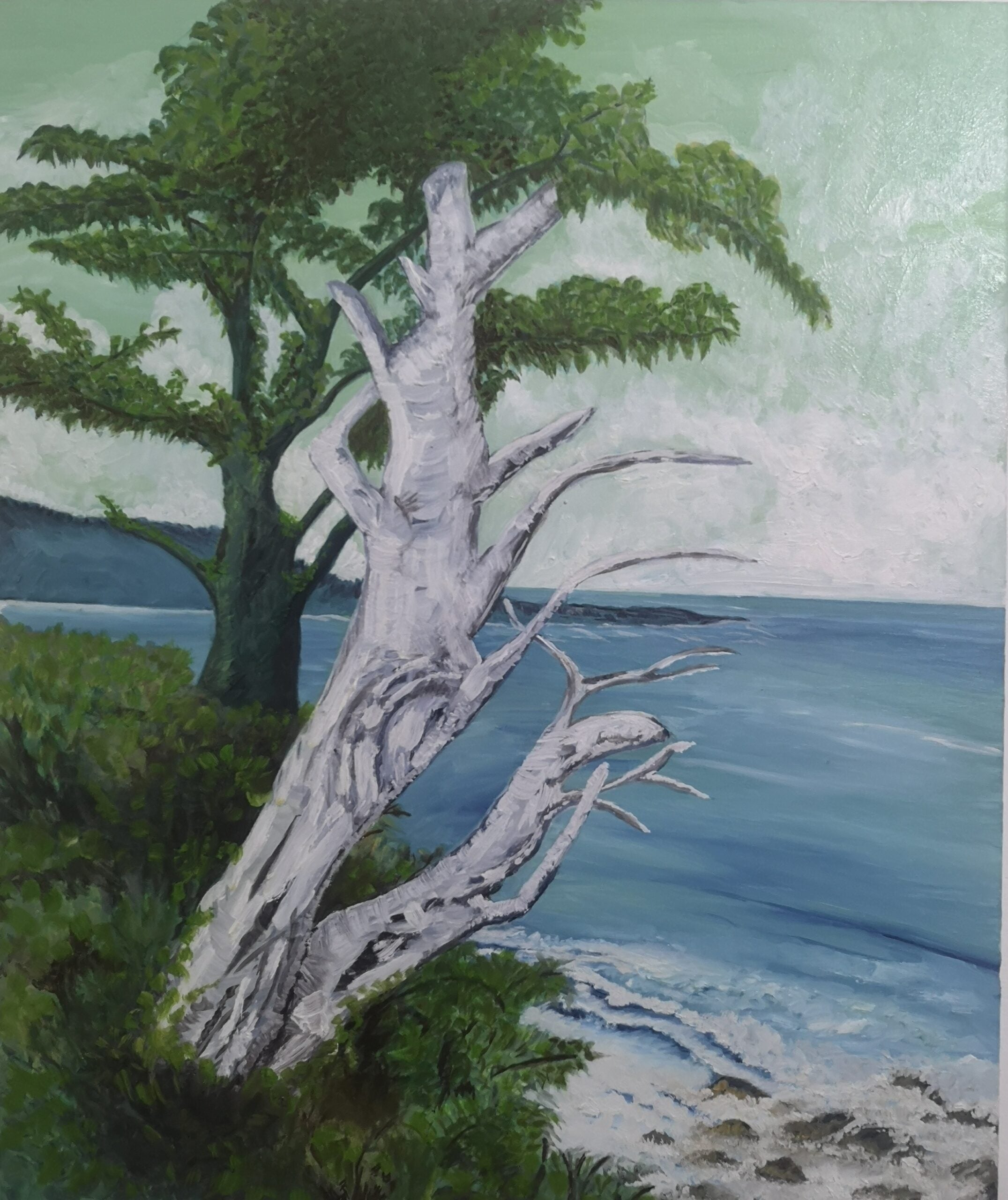 Emanuela Massena - BEYOND THE ROCKS