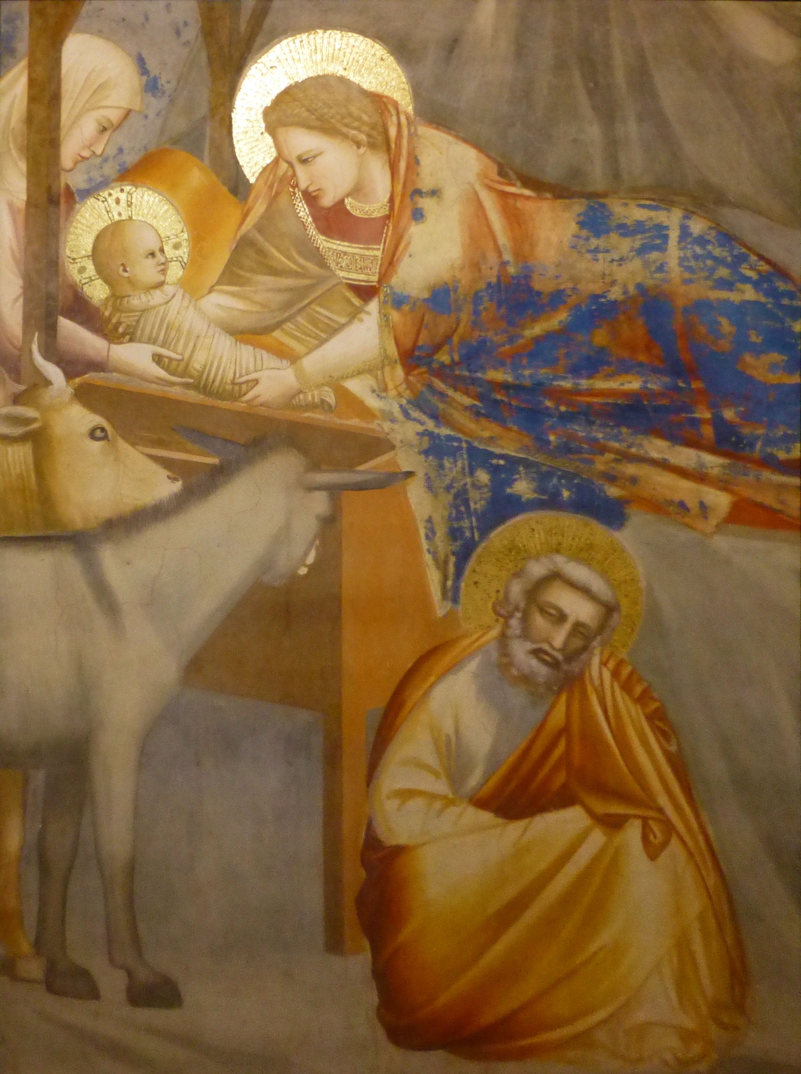 Giotto , la natività - Utet
