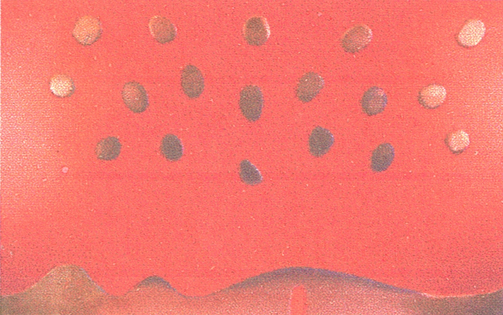 Palazzolo - Senza titolo