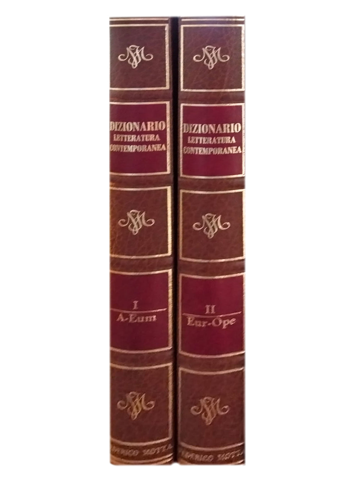 Dizionario della letteratura - Motta editore