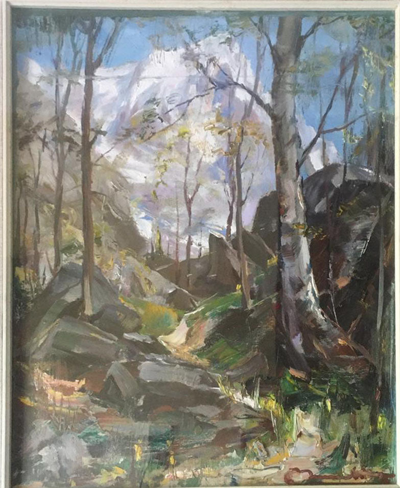 Ettore Berrone - Forest in the Mountains