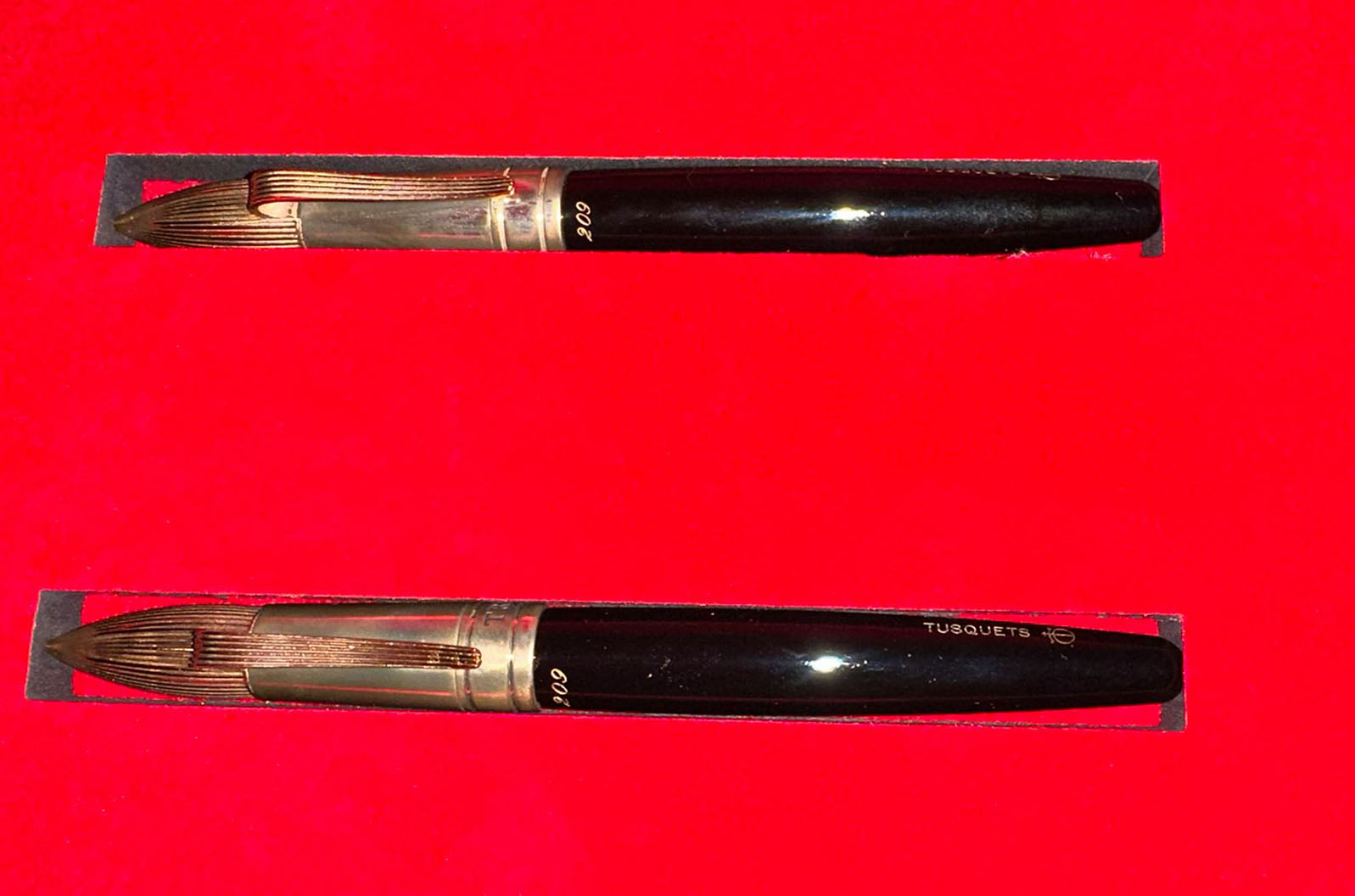 Penna dedicata a Leonardo Da Vinci - Treccani (Emissione straordinaria ufficiale)