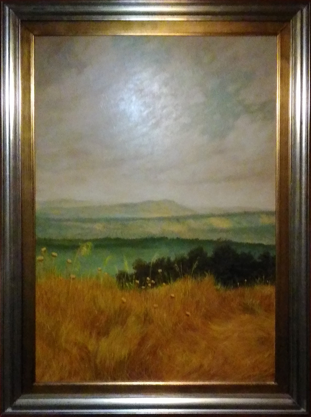 S. Buttua - Paesaggio