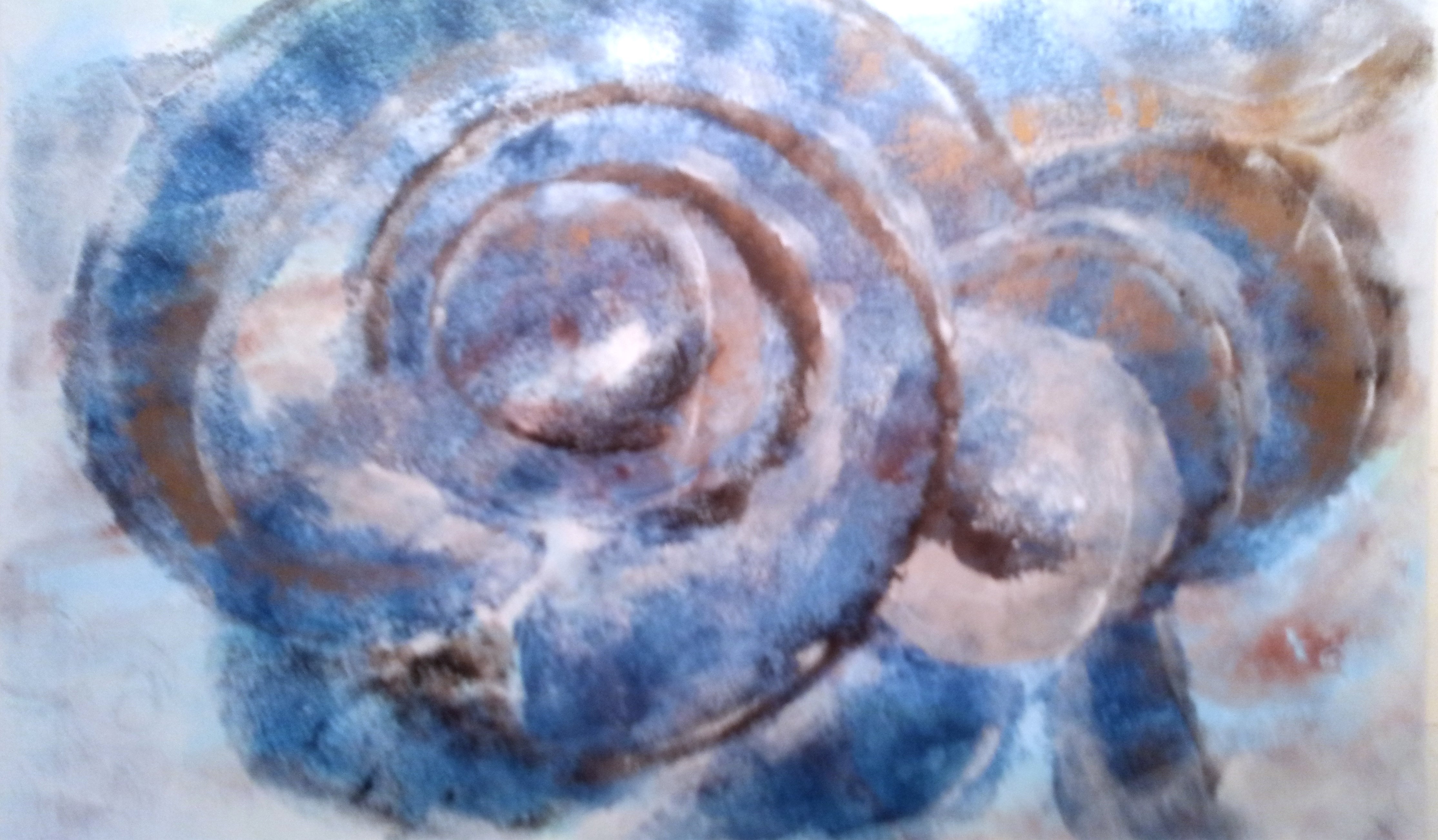 Giovanna Maria Zaccara - Ammonite