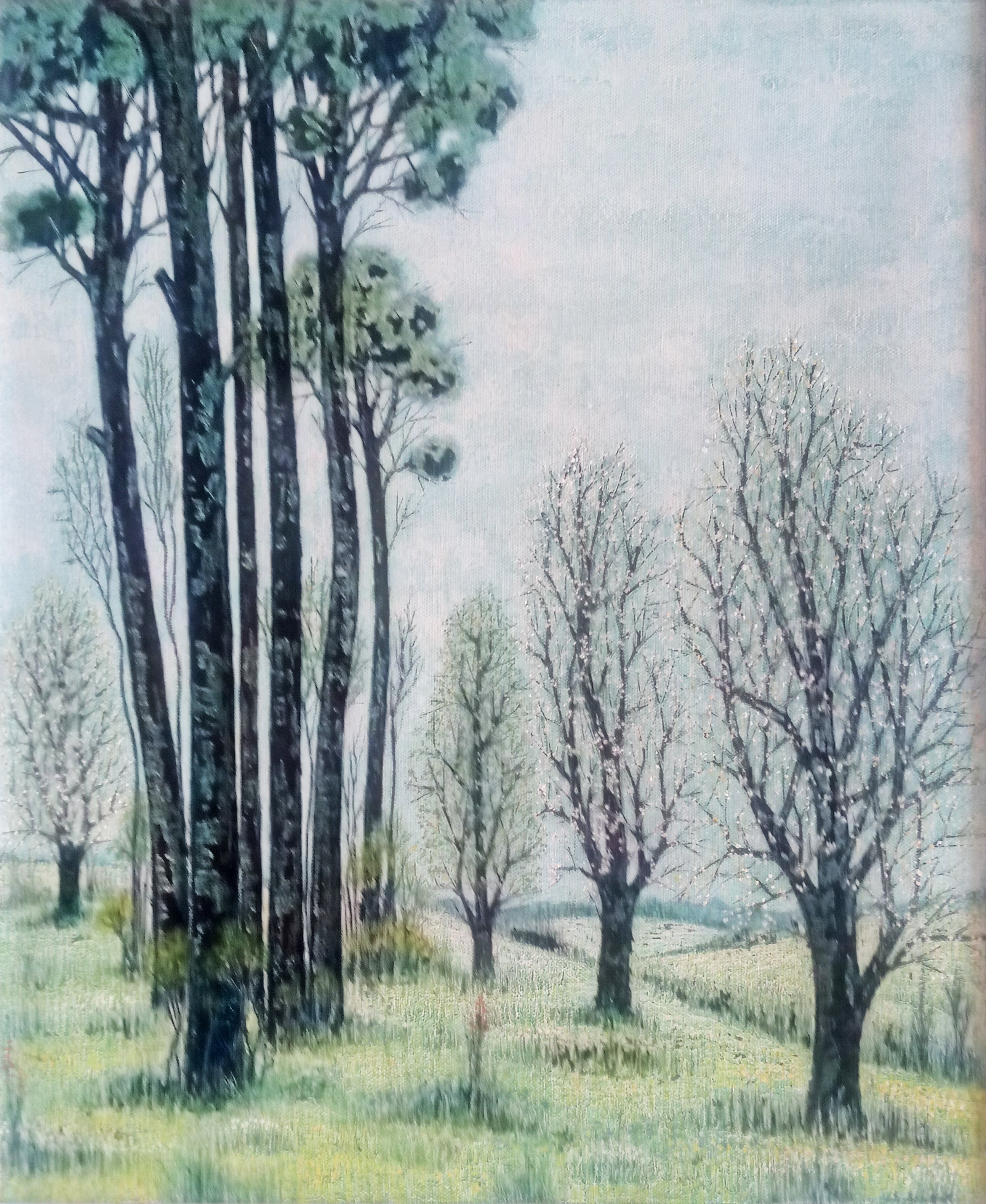 Bruno Di Pietro - Paesaggio