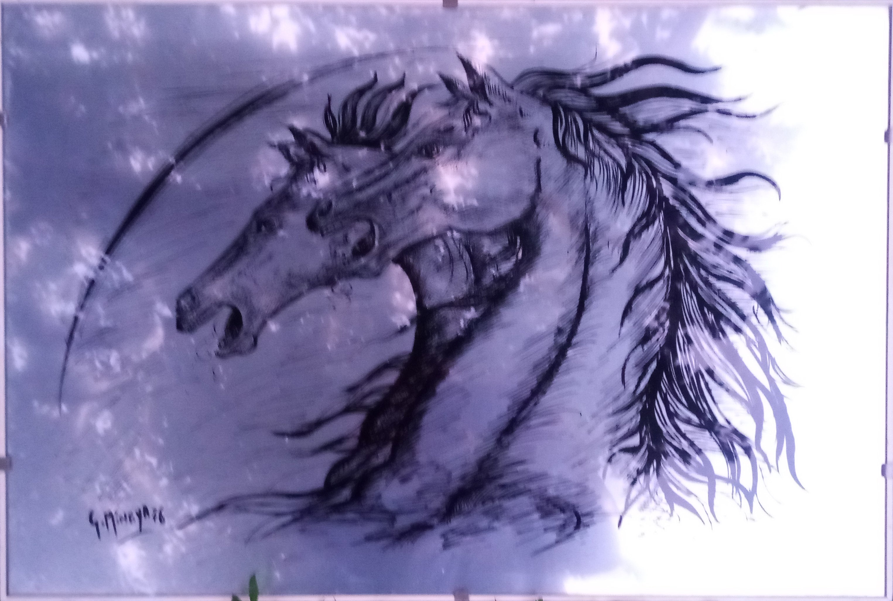 Minaya - Caballos