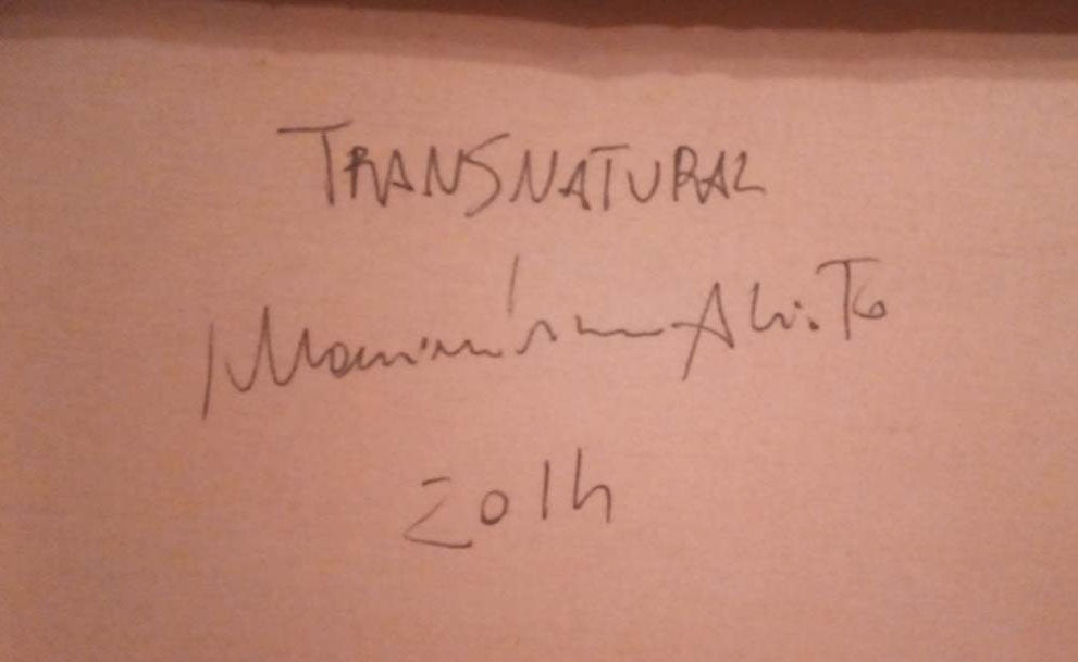 Massimiliano Alioto - Transnatural