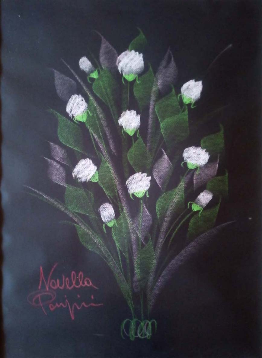 Novella Parigini - Rosas Blancas