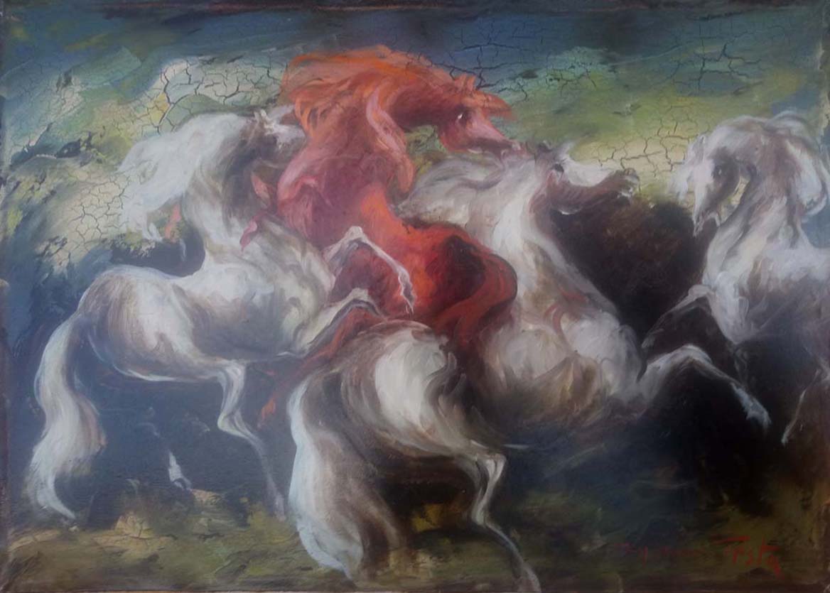 Gianni Testa - Cavalli