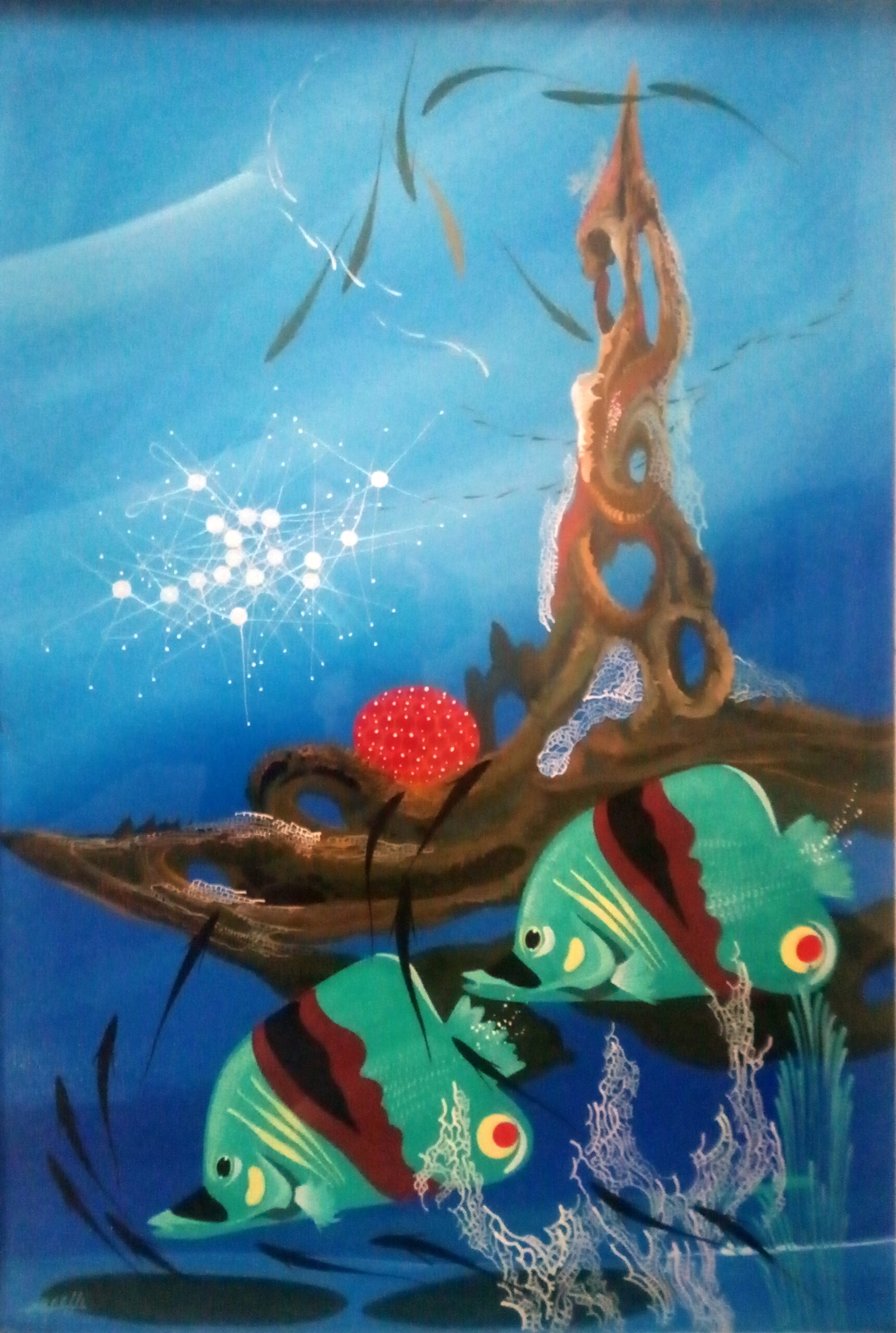 Natalino Arfelli - Peces tropicales