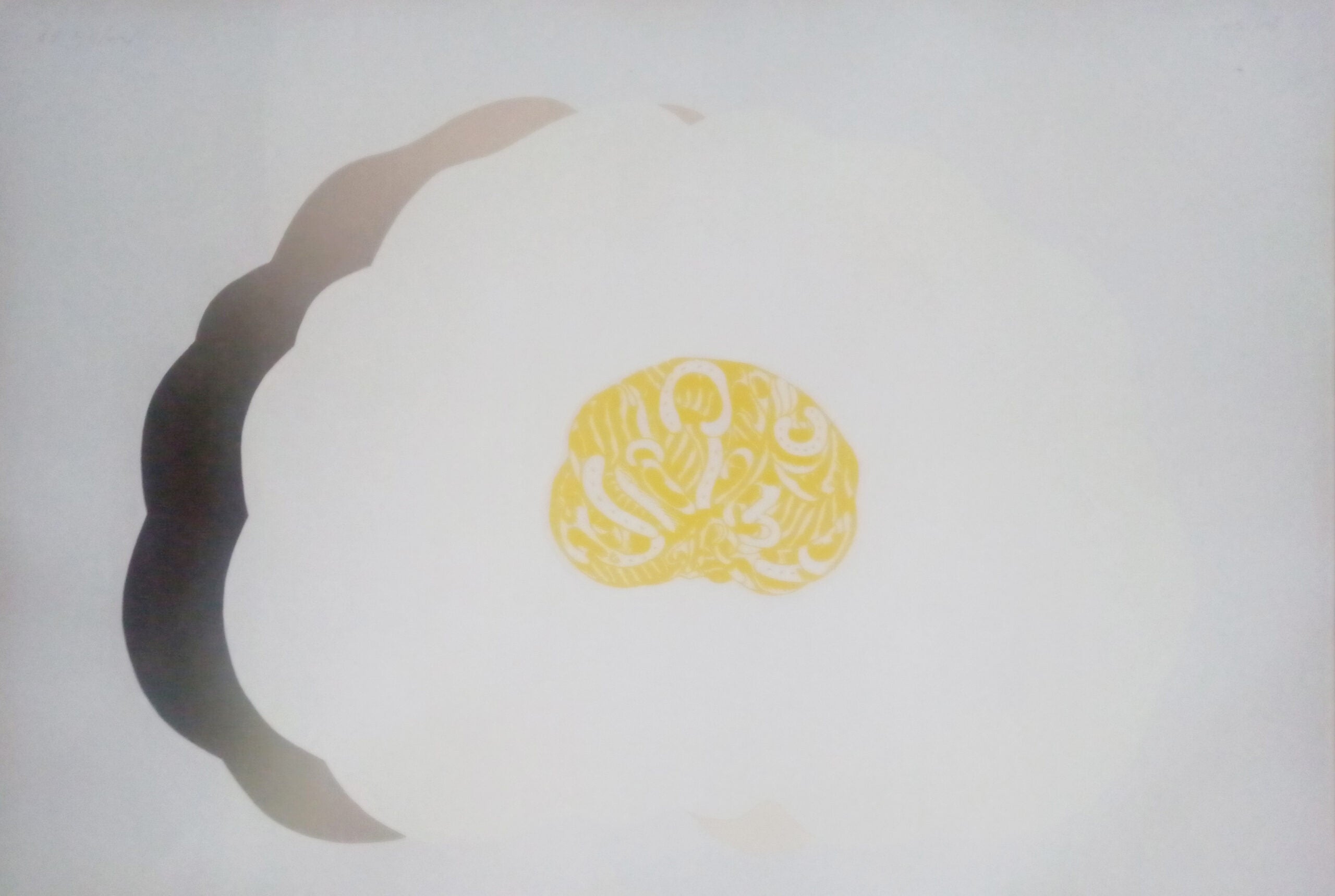 Concetto Pozzati - Collezione