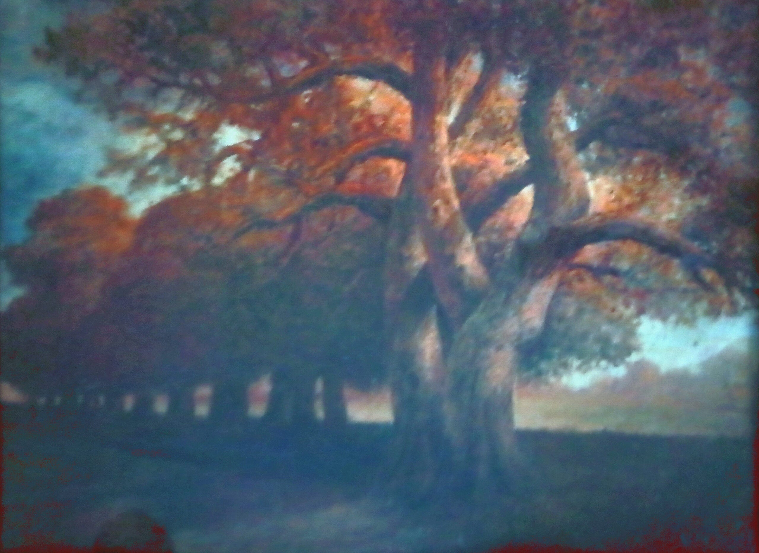Artista sconosciuto - Viale alberato