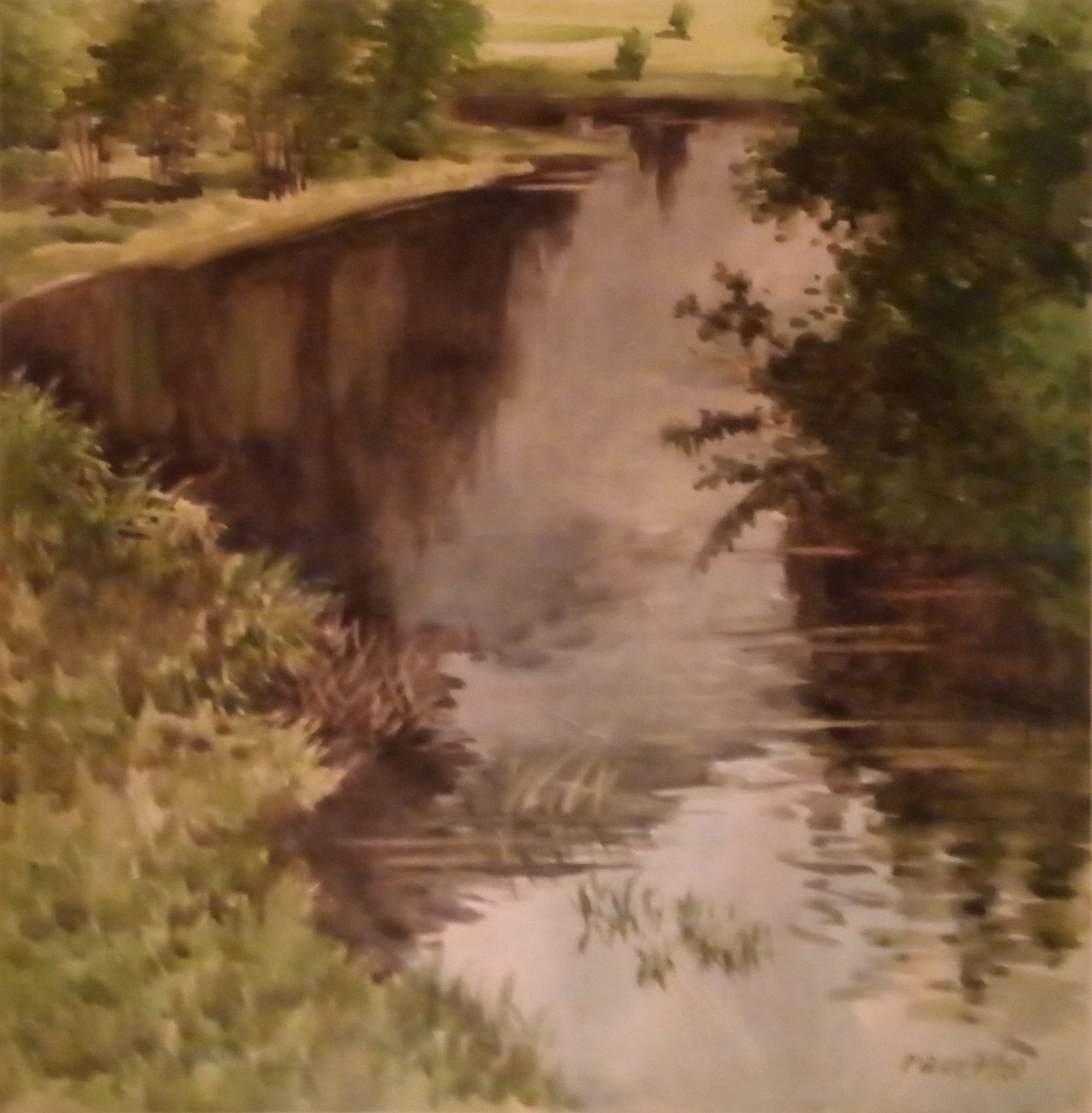 Giuseppe Raverta - Palude