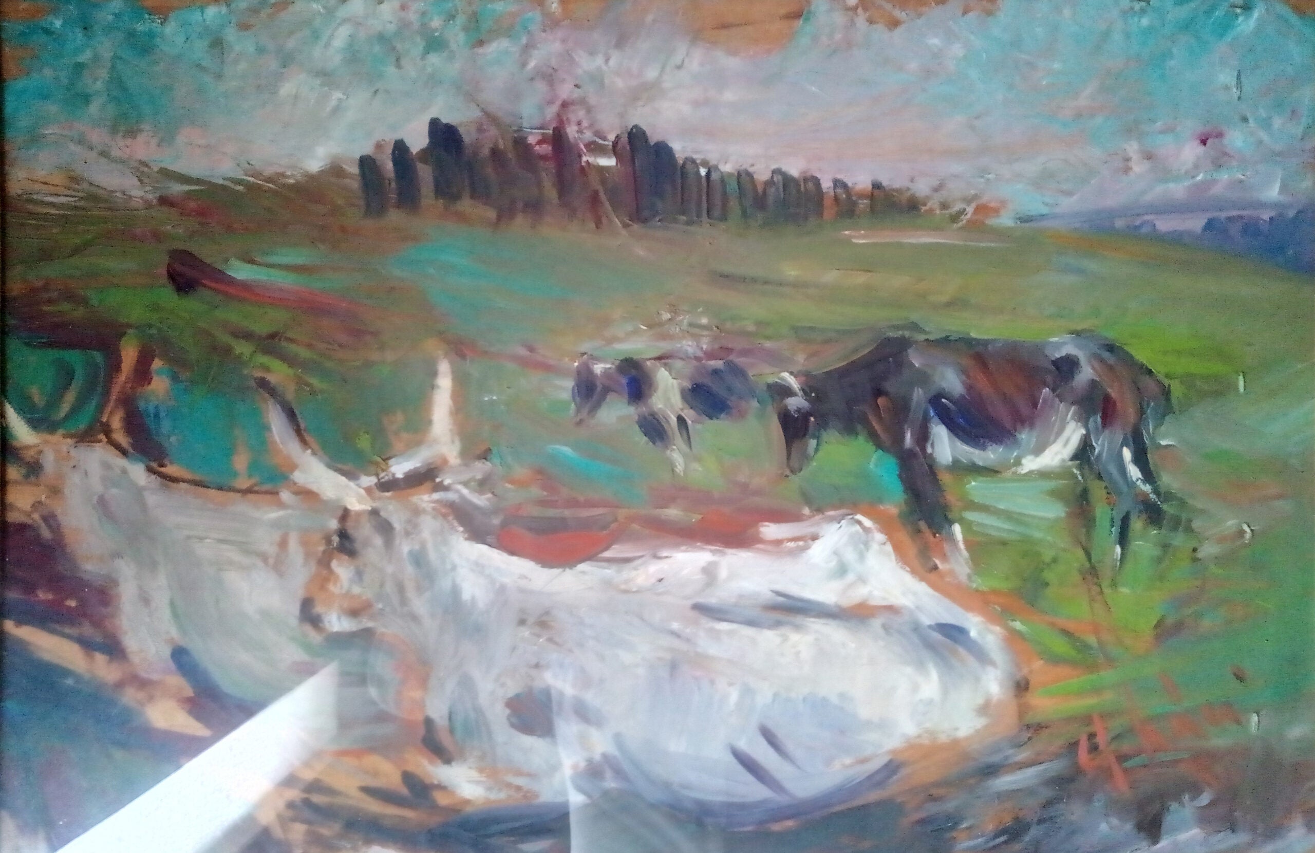 Guido Sodani - Oxen