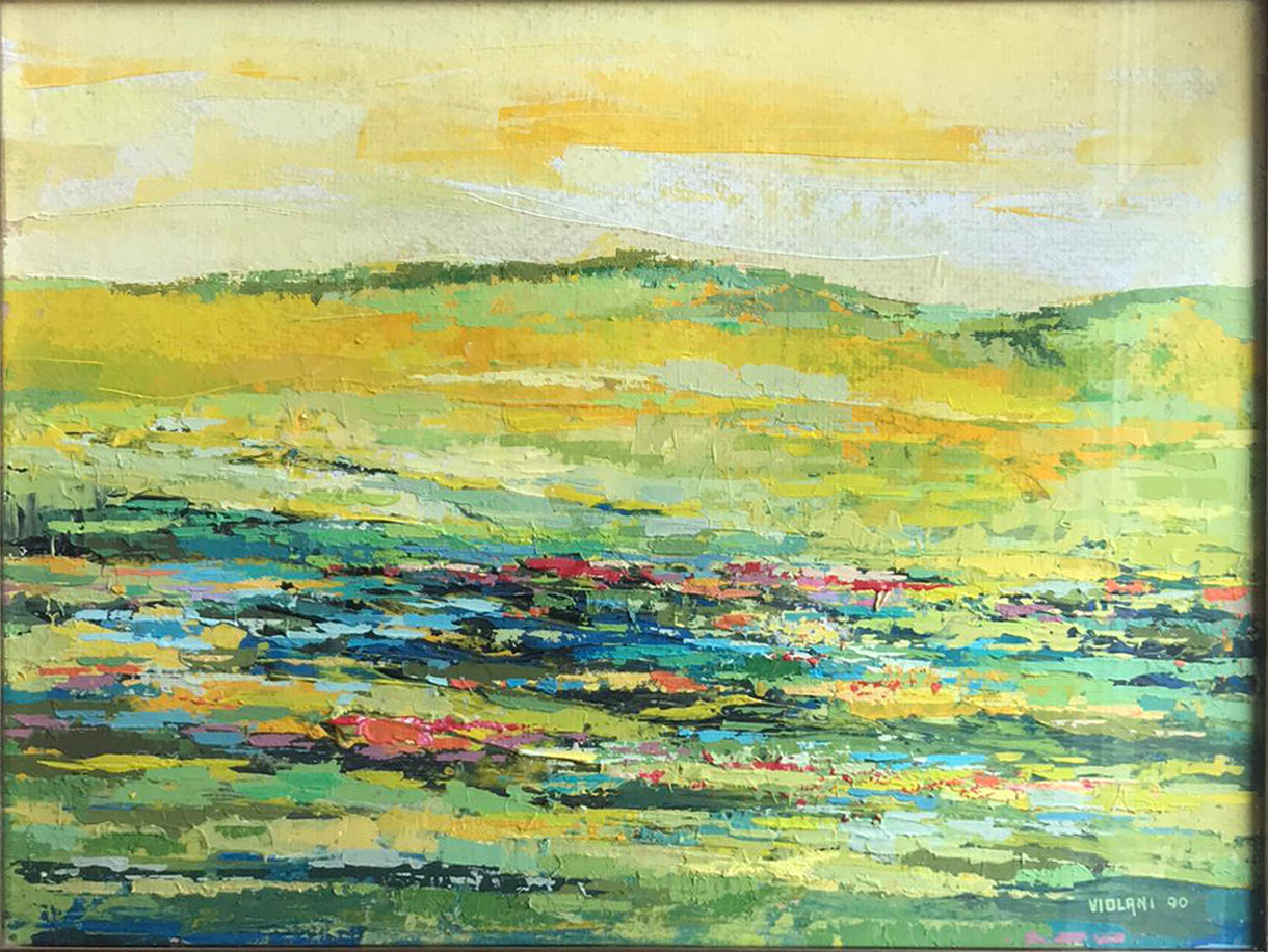 5 Opere di Bruno Violani