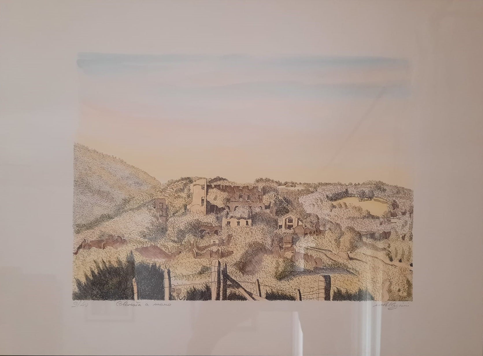 Pellegrini - Senza titolo