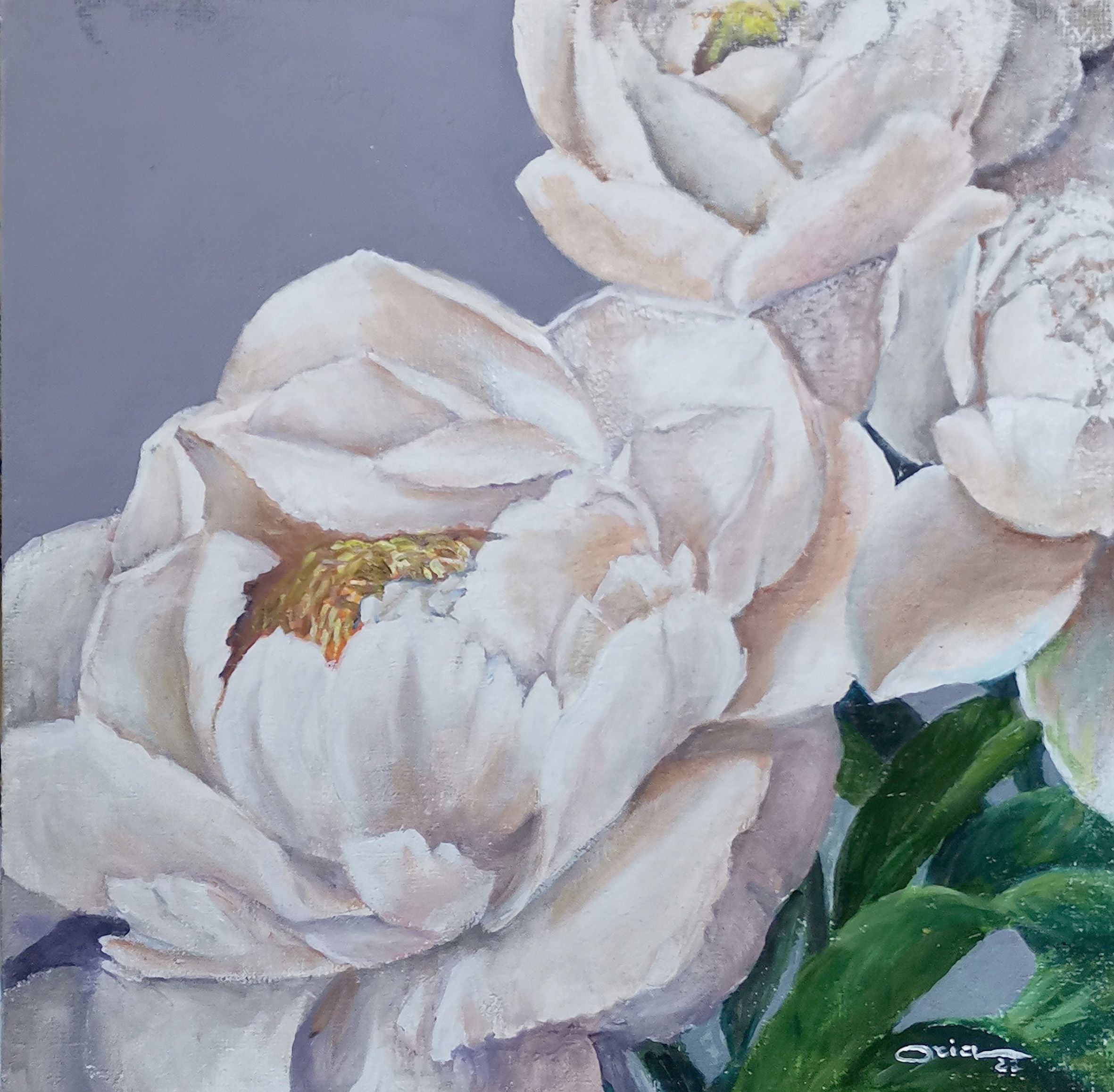 Oria Strobino - Peonia
