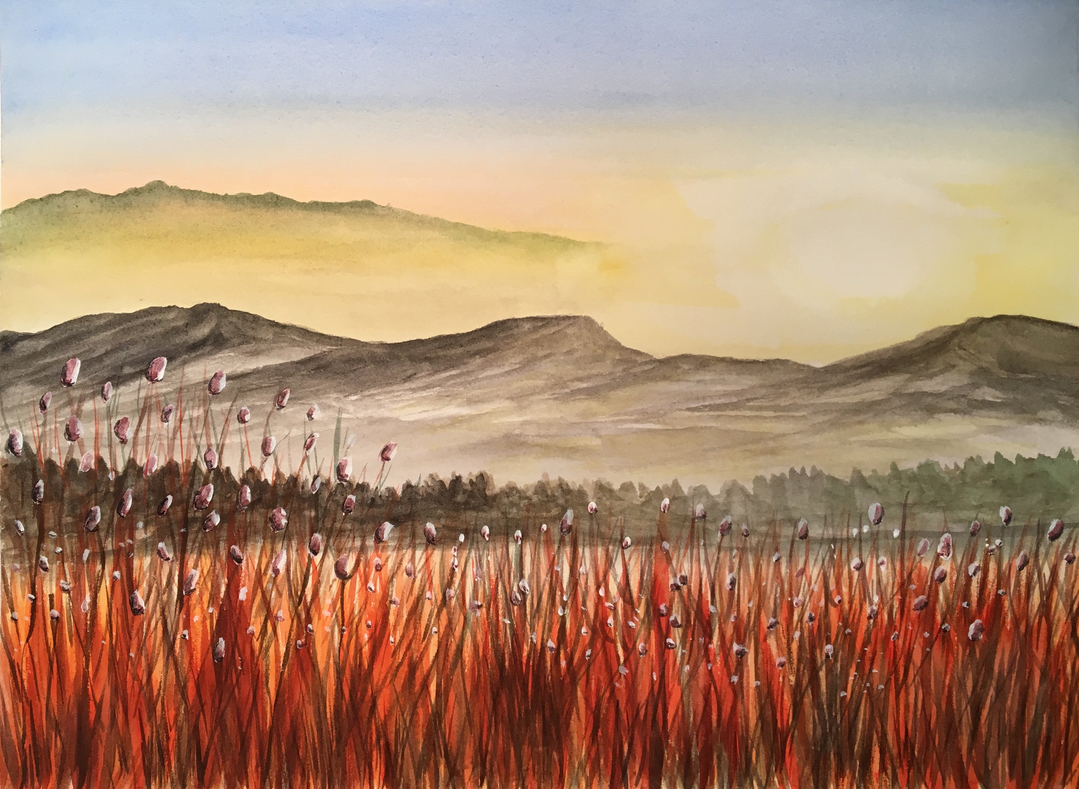 Galletto Elisabetta - Pomeriggio di sole