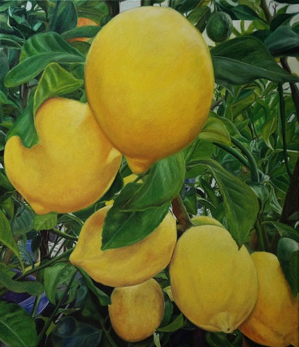 Mikhail Albano - Profumo di Sicilia