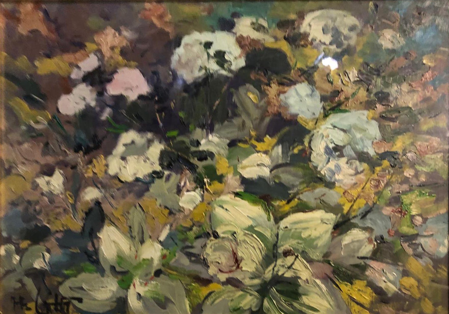 Gatti - Fiori