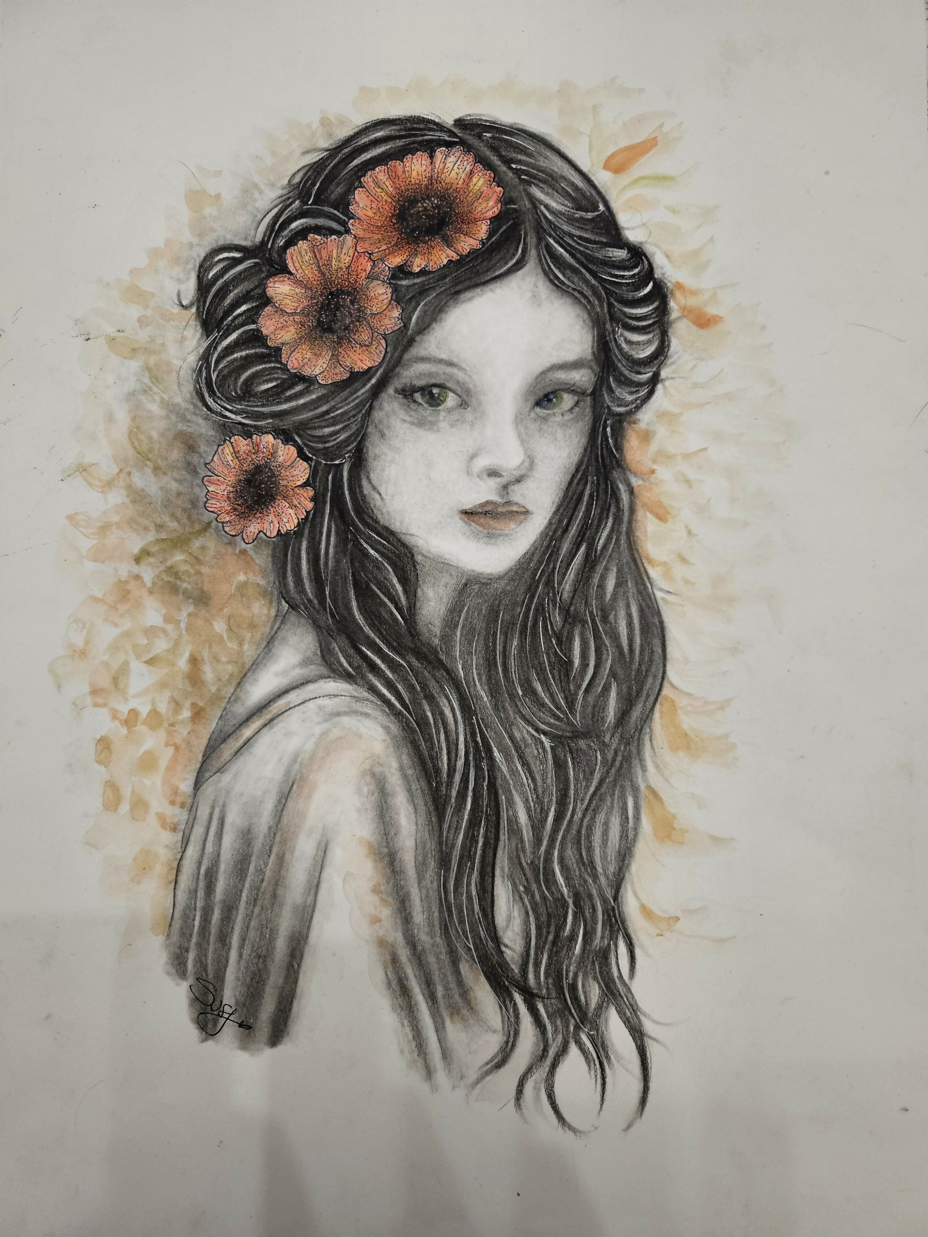 anima fragile