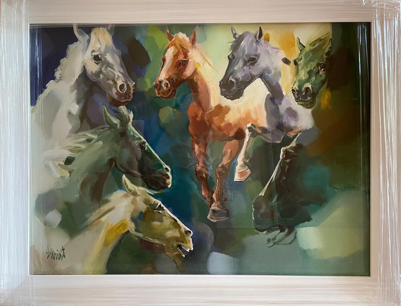 Amar Cheriet - Caballos