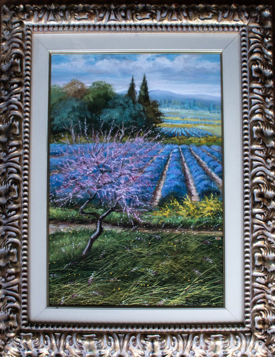 Enrico Carzaniga - Lavanda