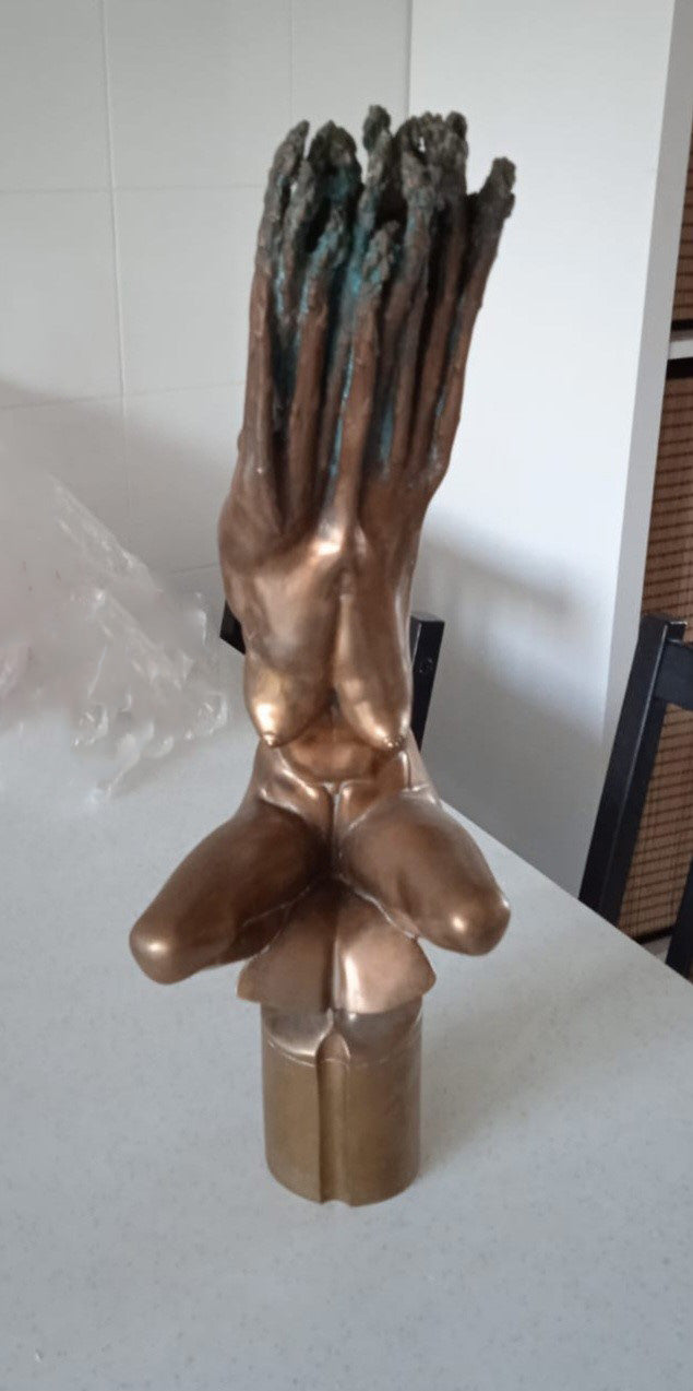 Novello Finotti - Figura Planta