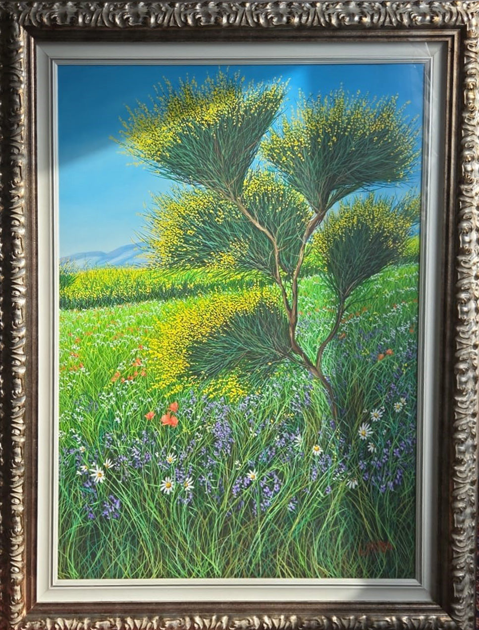 Giovanni Daurea - Retamas en flor