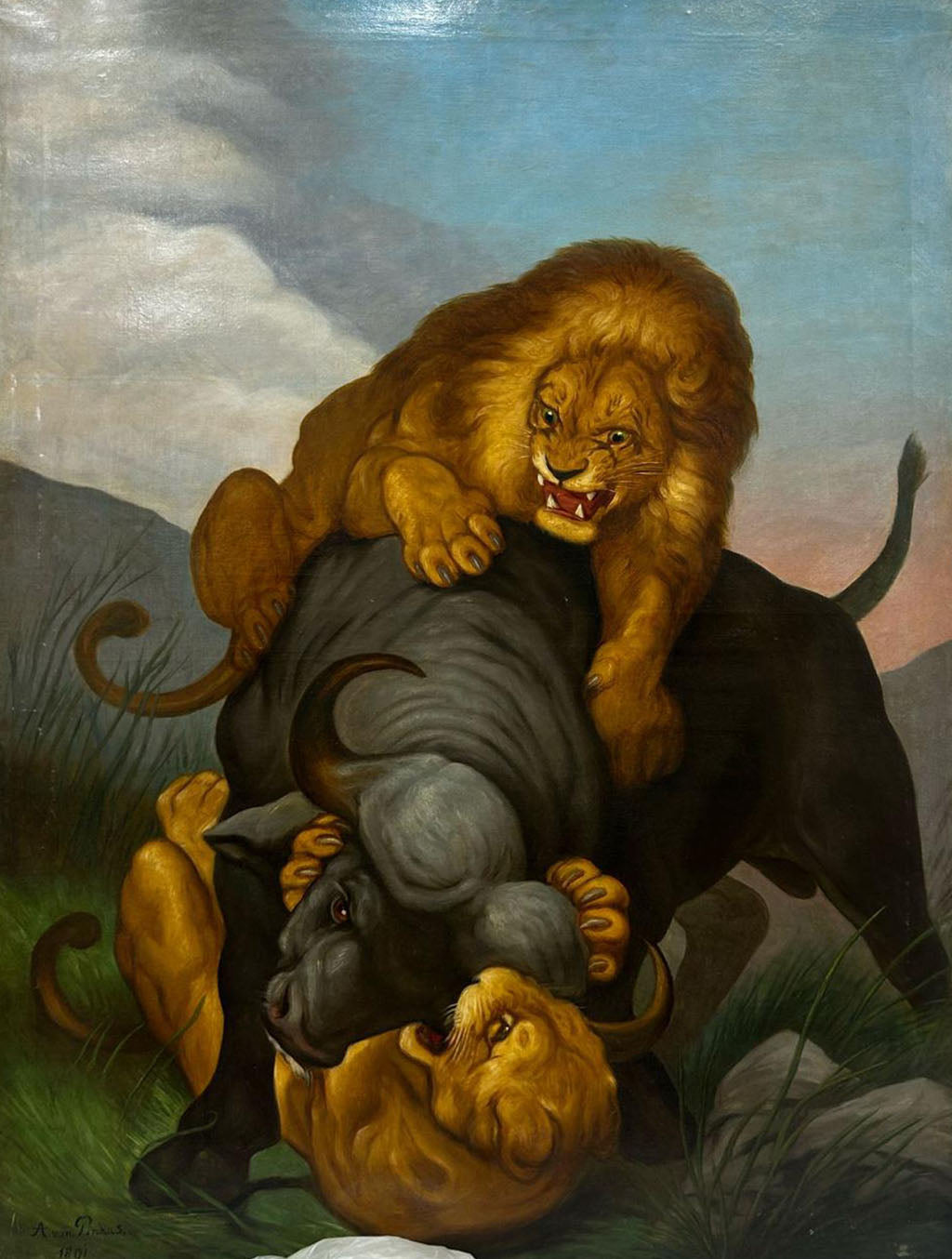 A. Von Pinkas - Senza titolo (leone e leonessa catturano un bufalo)