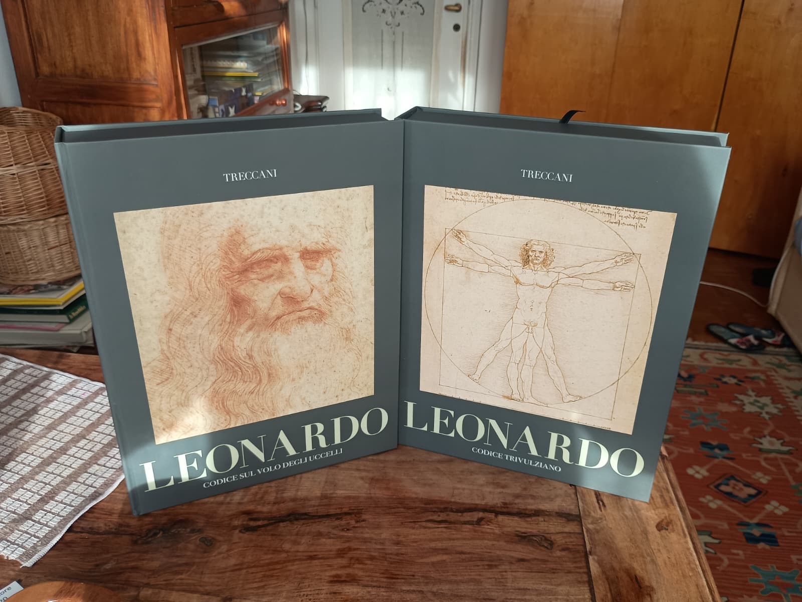 Leonardo Codice Trivulziano, Il codice sul volo degli uccelli - Treccani