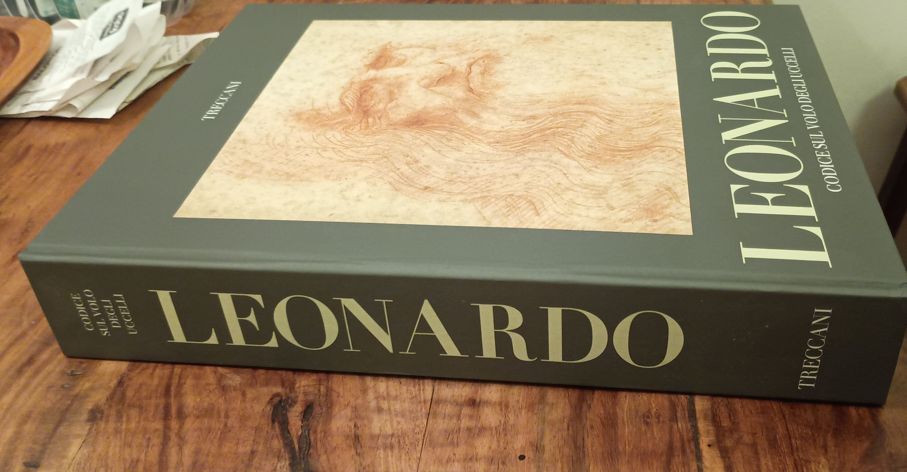 Leonardo Codice Trivulziano, Il codice sul volo degli uccelli - Treccani