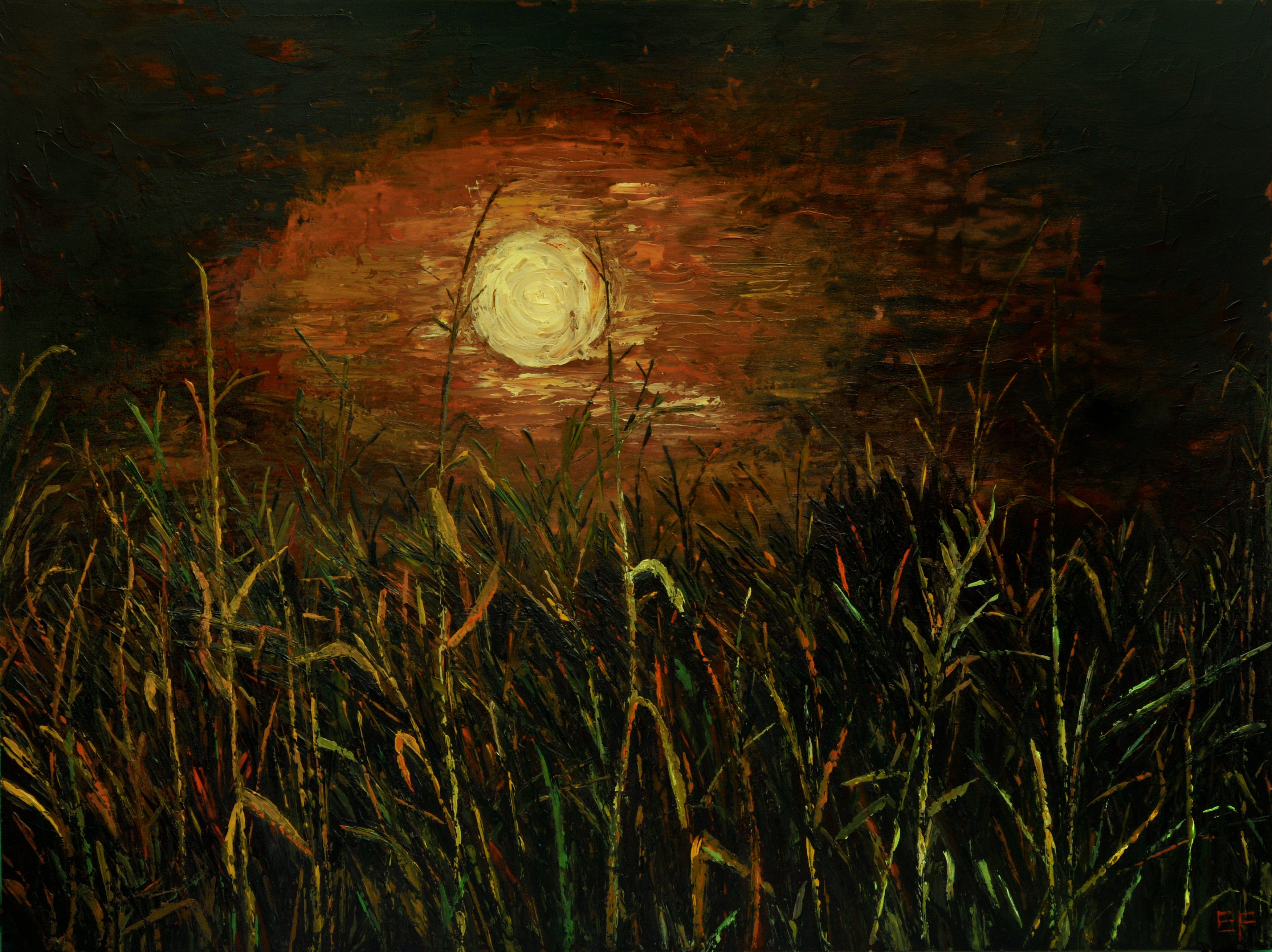 Elena Fantini - Sole notturno - Seconda ora