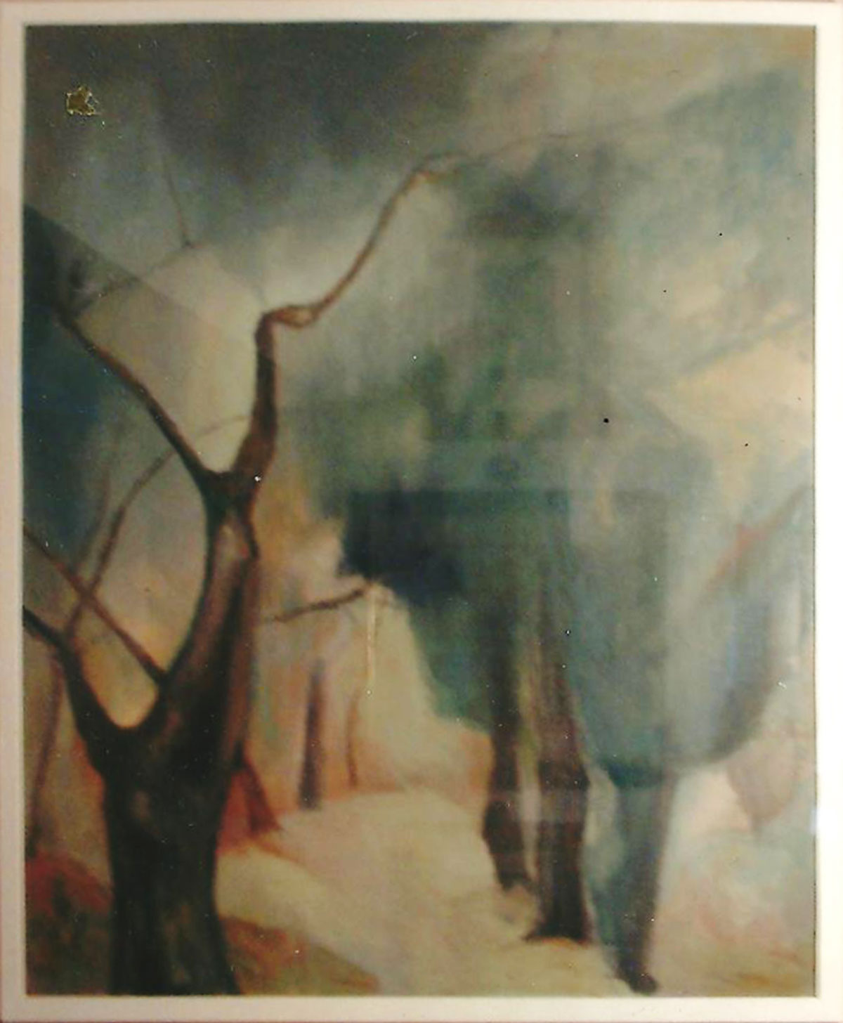 G. Benvenuti - Trees