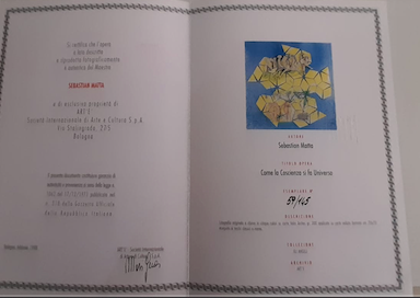 Sebastian Matta - Come la coscienza si fa universo